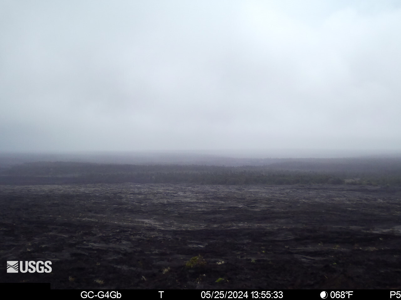 Live Image of upper East Rift Zone from Maunaulu preview image