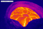 thermal camera of halemaumau from crater overlook