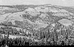Image, 1941, Looking down at Orofino, Idaho, click to enlarge
