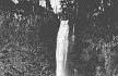 Image, ca.1879-1909, Multnomah Falls, click to enlarge