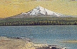 Penny Postcard, ca.1915, Mount Hood from The Dalles, click to enlarge
