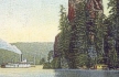 Penny Postcard, ca.1908, Rooster Rock and a Steamer, click to enlarge