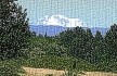 Image, 2003, Mount Adams, Washington, from Blurock Landing, Washington