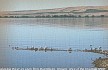 Image, 2003, Columbia River from Boardman, Oregon