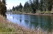 Image, 2004, Grays River, Washington