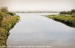 Image, 2003, Umatilla River