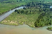 Image, 1997, Hunting Islands, downstream of Cathlamet, Washington, click to enlarge