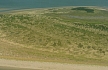 Image, 1997, Leadbetter point, click to enlarge