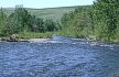 Image, Touchet River at Dayton, click to enlarge