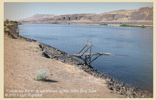 Columbia River downstream of the John Day Dam, 2003