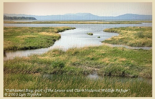 Cathlamet Bay, Lewis and Clark National Wildife Refuge, 2003
