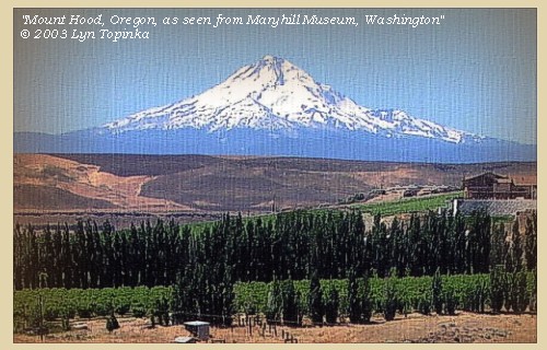 Mount Hood, Oregon, from Maryhill Museum, Washington, 2003
