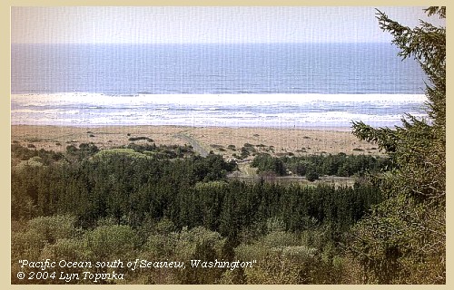 Pacific Ocean south of Seaview, Washington, 2004