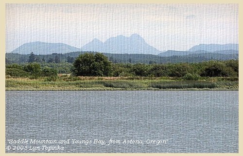 Saddle Mountain and Youngs Bay, 2003
