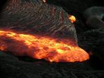 Lava toes 440 m seaward of Paliuli in Mother's Day flow, Kilauea volcano, Hawai`i