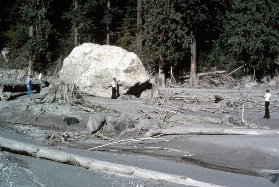 Les lahars du mont St. Helens ont transporté ce gros rocher en aval alors qu'il a arraché des arbres et laissé un épais dépôt de coulée de boue après l'éruption du 18 mai 1980.  Rivière boueuse, Washington.