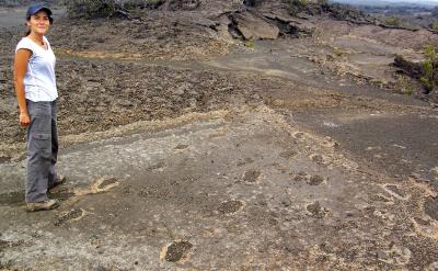 Footprints left in wet volcanic ash when a group of Hawaiian travelers walked through the area after an explosive eruption in 1790 CE deposited 2 cm (1 in) of ash southwest of Kīlauea's summit.
 (Click image to view full size.)