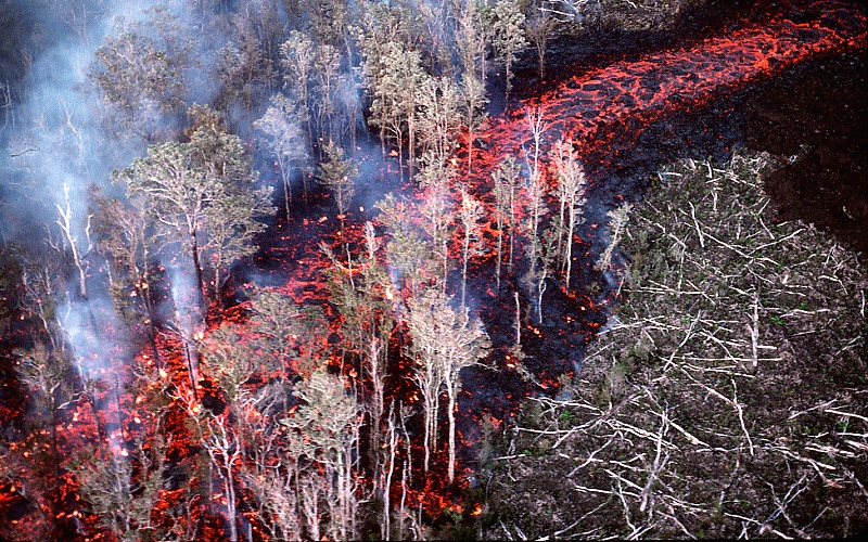 Channelized ‘a‘ā flow from Pu‘u ‘Ō‘ō cuts a swath through the forest, Kīlauea Volcano, Hawai‘i