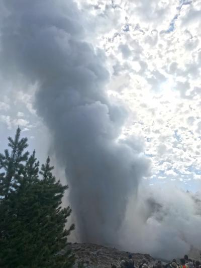 Steamboat Geyser in the water-phase of an eruption on June 4, 2018, Norris Geyser Basin, Yellowstone National Park. (Click image to view full size.) Steamboat Geyser in the water-phase of an eruption on June 4, 2018, Norris Geyser Basin, Yellowstone National Park. (Click image to view full size.)