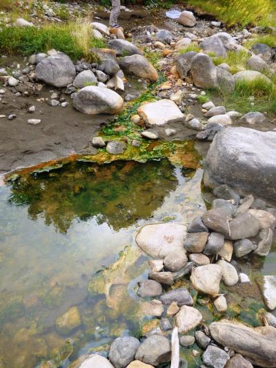 View of one of the geothermal seeps that flows into the Yellowstone River south of LaDuke Hot Spring. (Click image to view full size.) View of one of the geothermal seeps that flows into the Yellowstone River south of LaDuke Hot Spring. (Click image to view full size.)
