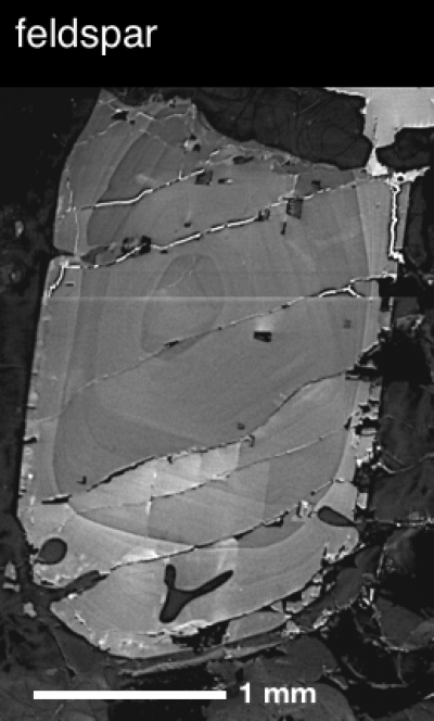 Crystal with concentric zones, like tree rings, that was found within the Scaup Lake lava flow. (Click image to view full size.) Crystal with concentric zones, like tree rings, that was found within the Scaup Lake lava flow. (Click image to view full size.)