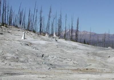 View of Monument Geyser Basin looking NE (Click image to view full size.) View of Monument Geyser Basin looking NE (Click image to view full size.)