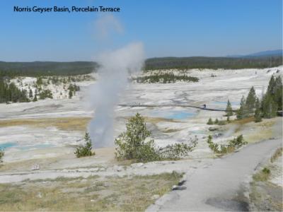 Porcelain Terrace area of Norris Geyser Basin. Note steam vents in the foreground and many milky-blue silica depositing pools in the distance. (Click image to view full size.) Porcelain Terrace area of Norris Geyser Basin. Note steam vents in the foreground and many milky-blue silica depositing pools in the distance. (Click image to view full size.)
