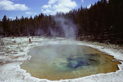 Mushroom Pool, in the Lower Geyser Basin of Yellowstone National Park. The pool is the source of the sample of Thermus aquaticus strain YT-1 taken by Thoas Brock in 1966. (Click image to view full size.) Mushroom Pool, in the Lower Geyser Basin of Yellowstone National Park. The pool is the source of the sample of Thermus aquaticus strain YT-1 taken by Thoas Brock in 1966. (Click image to view full size.)